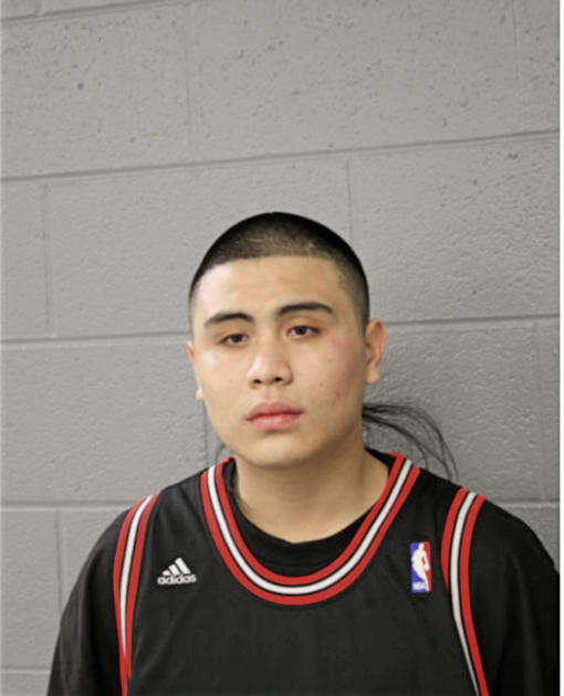 ALVARO J PEREZ, Cook County, Illinois