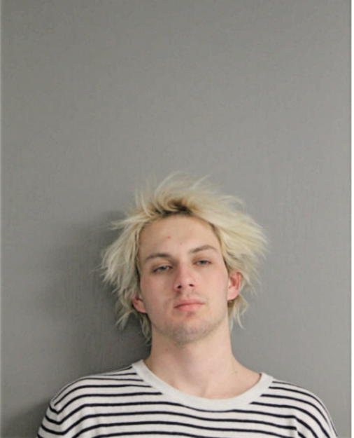 CHRISTOPHER J PRZYBYLO, Cook County, Illinois