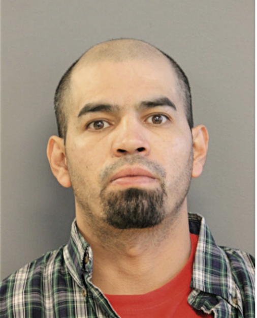LEONEL SANDOVAL, Cook County, Illinois