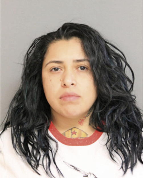 ERICA SILVA, Cook County, Illinois