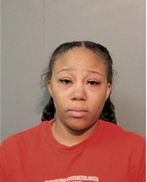 NIKISHA C STEVENSON, Cook County, Illinois