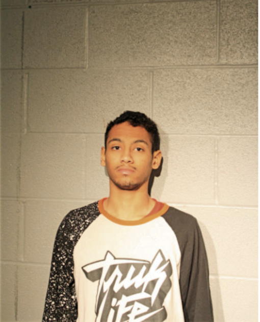 ARIUS C TURNER, Cook County, Illinois