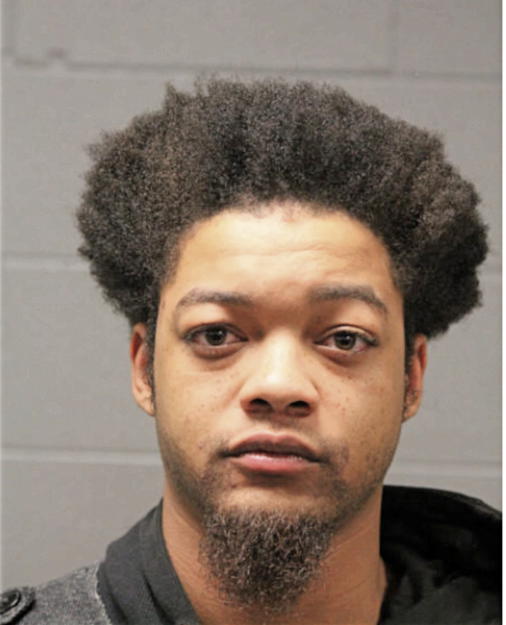 TROY T ALIM, Cook County, Illinois