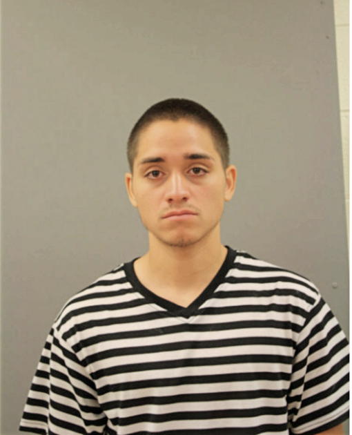 MICHAEL A ALVAREZ, Cook County, Illinois