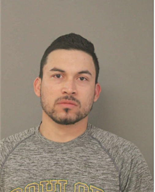 MAURICIO GIRON AVILA CELEO, Cook County, Illinois