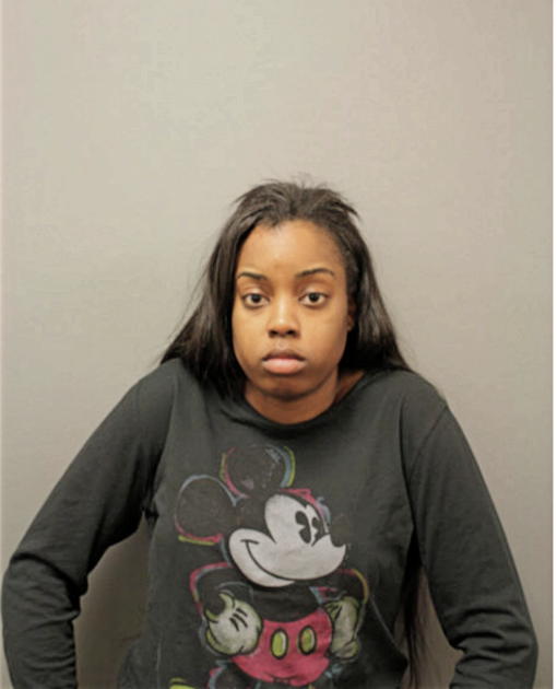 DANIELLE N BELL, Cook County, Illinois
