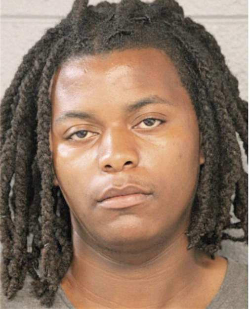 DOMINIC D BLIZZARD, Cook County, Illinois
