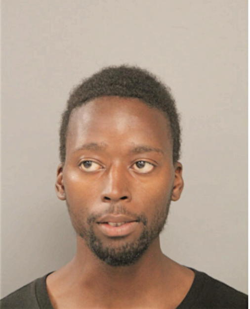 DEANGELO D BROWN, Cook County, Illinois