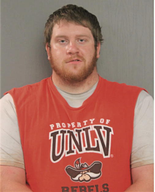 BRIAN J FARRELL, Cook County, Illinois