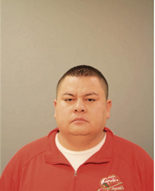JOSE M FIGUEROA, Cook County, Illinois