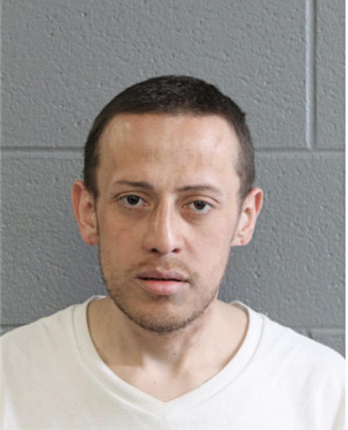 MARK FLORES, Cook County, Illinois