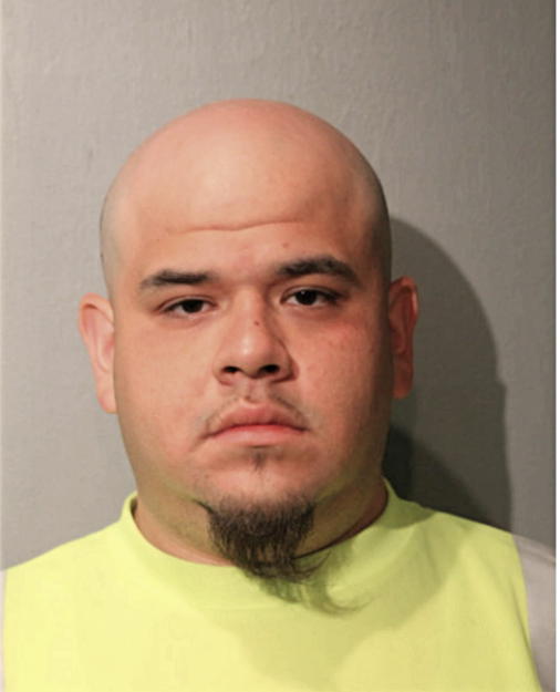 CAMERINO R HERNANDEZ, Cook County, Illinois