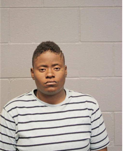 ALEXIS N JOHNSON, Cook County, Illinois