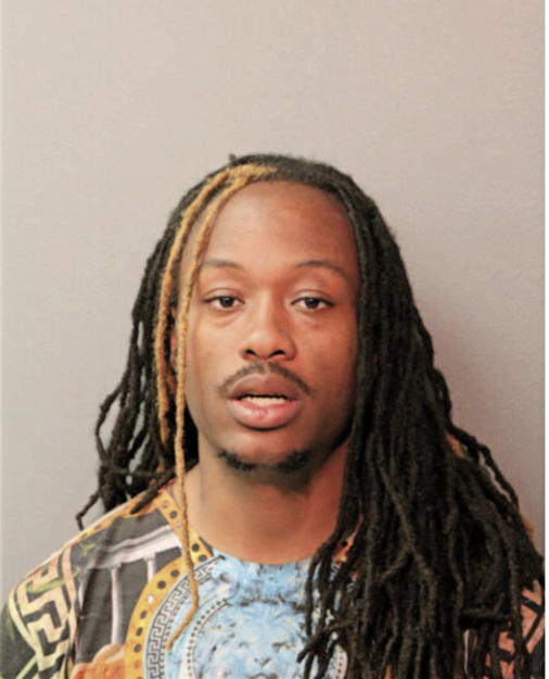 LARRY M JOHNSON, Cook County, Illinois