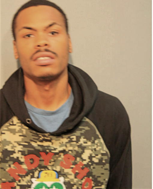 LARRY M JONES, Cook County, Illinois