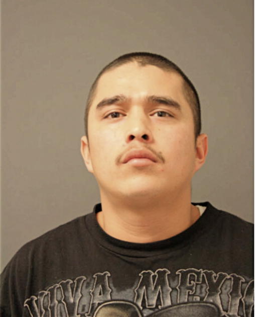 JESUS MELGAREJO, Cook County, Illinois