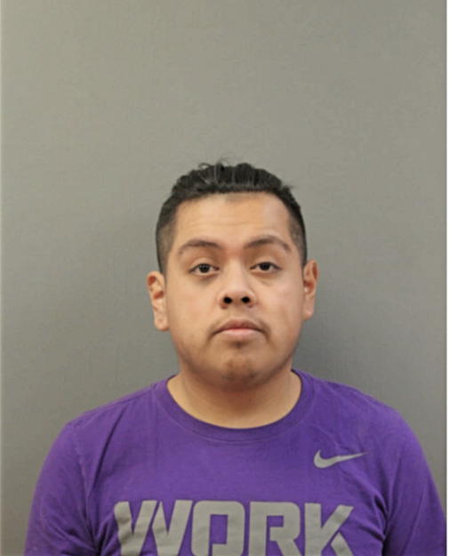 ALFONSO MENA, Cook County, Illinois
