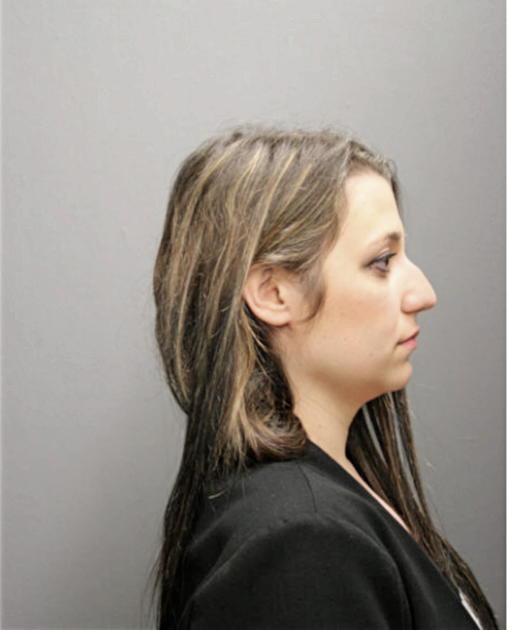 ALEKSANDRA MIHAJLOVSKA, Cook County, Illinois