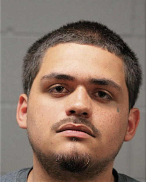 CARLOS G MONTANEZ, Cook County, Illinois