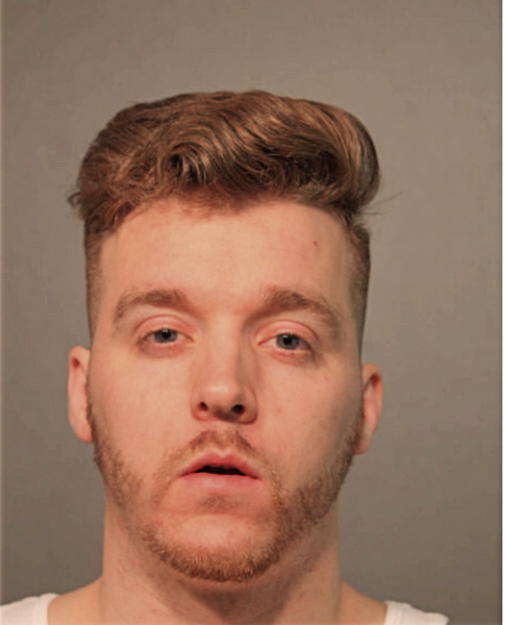 MICHAEL J PERRY, Cook County, Illinois