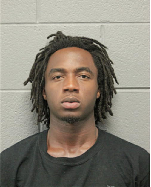 ERIC S POWELL, Cook County, Illinois