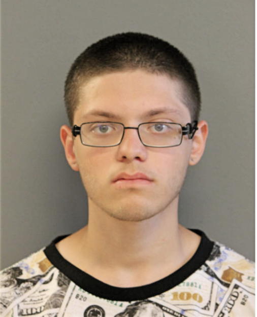 RYAN A PUENTE, Cook County, Illinois