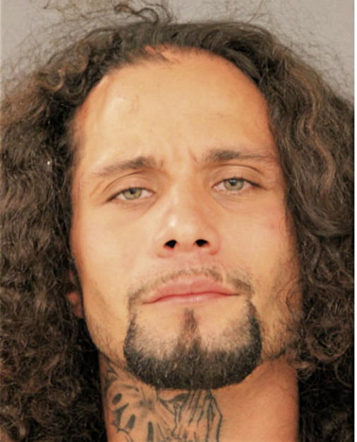 ANGEL F RIVERA, Cook County, Illinois