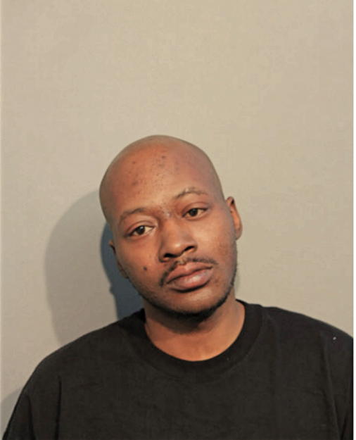 DAVID A SAPP, Cook County, Illinois