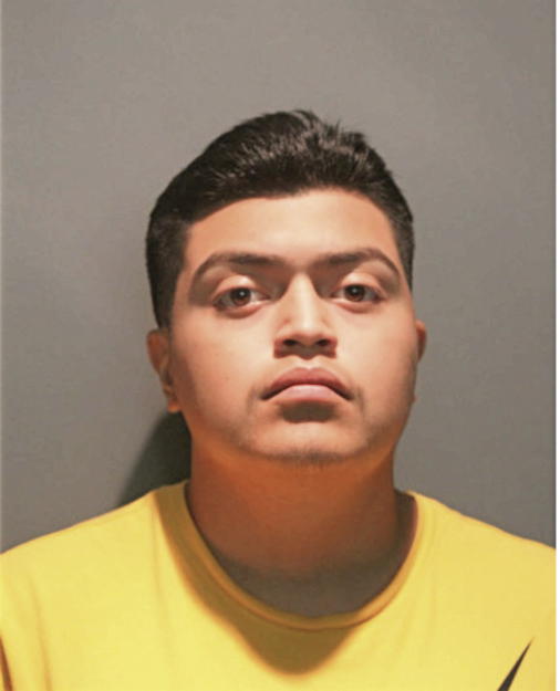 JESUS SOSTENES, Cook County, Illinois