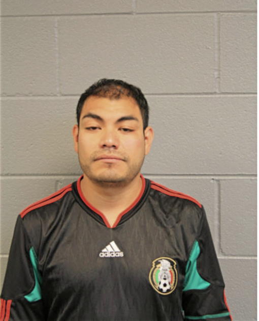 JORGE TORRES, Cook County, Illinois