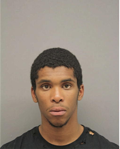 NEHAMIAH J TURNER, Cook County, Illinois