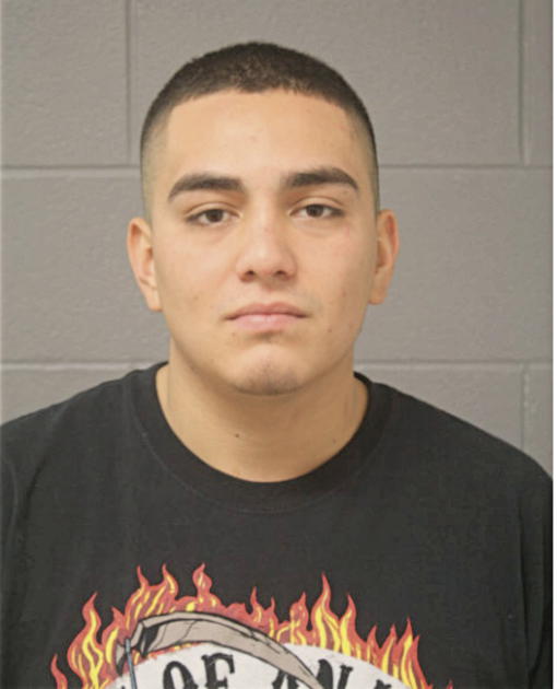 CESAR A VALDEZ, Cook County, Illinois