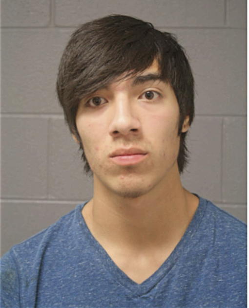 LUIS V VERGARA, Cook County, Illinois