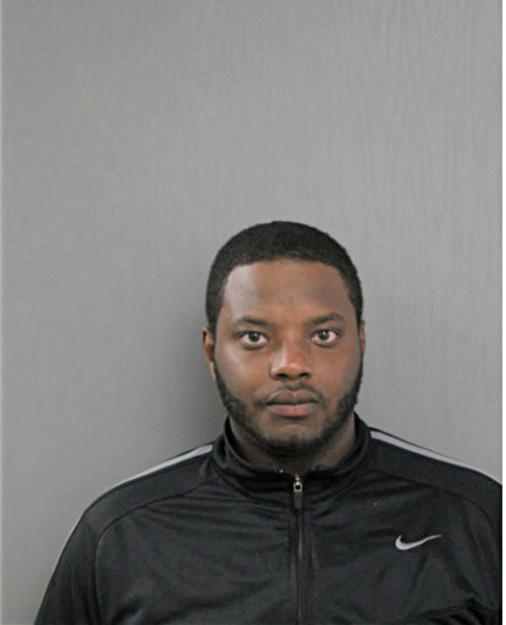 MICHAEL D ARNOLD, Cook County, Illinois