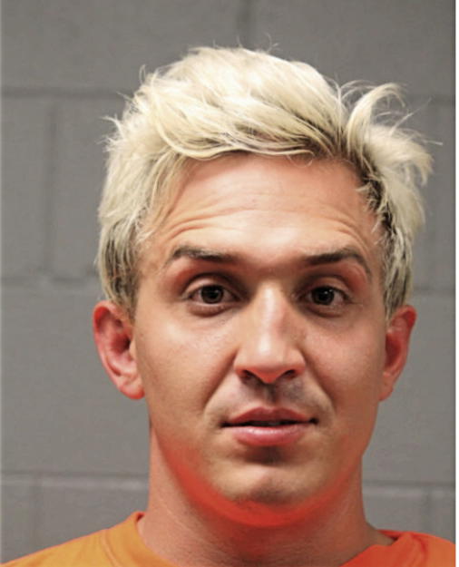 RUSTIN J BAZAREK, Cook County, Illinois