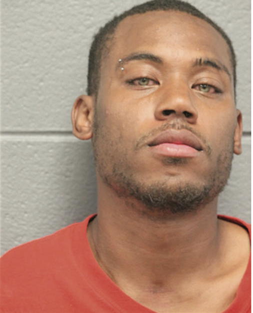 CHRISTOPHER L BROWN, Cook County, Illinois