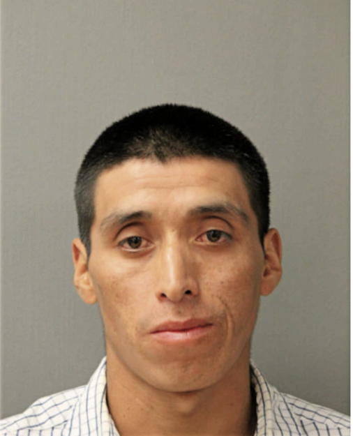 JUAN MOISES CAGUANA, Cook County, Illinois