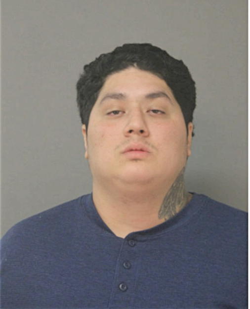 JOSE DAVID CASTILLO-ZEPEDA, Cook County, Illinois