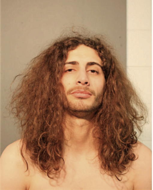 ANDREW W DIAZ, Cook County, Illinois