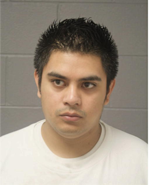 DANIEL GALEANA, Cook County, Illinois