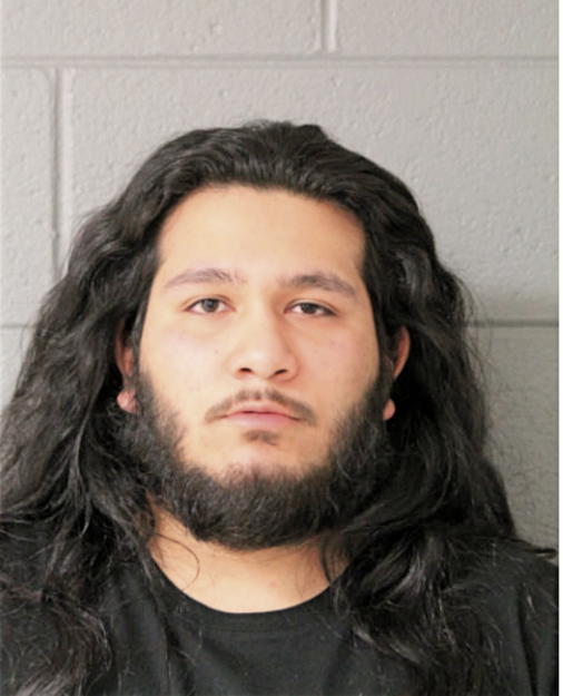 IFRAIN H GALLARDO, Cook County, Illinois