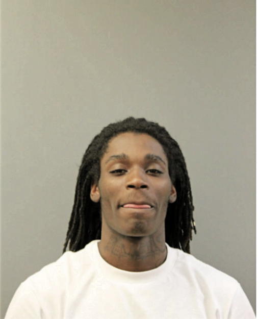 LASHE D HAMLER, Cook County, Illinois