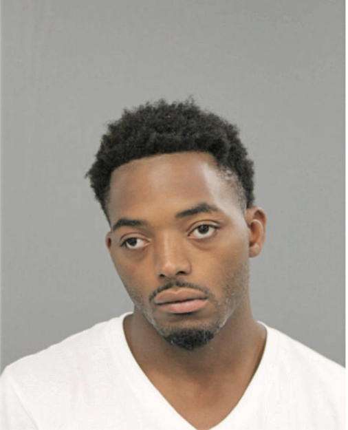 RYAN D HORTON, Cook County, Illinois