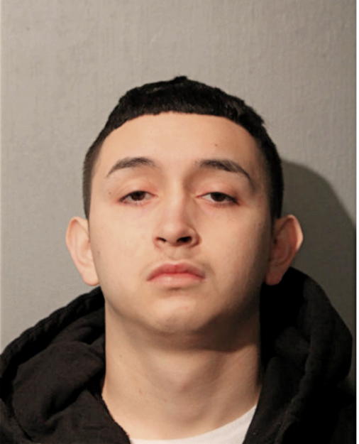 GUILLERMO IBARRA, Cook County, Illinois