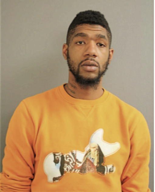 CAMERON L JOHNSON, Cook County, Illinois
