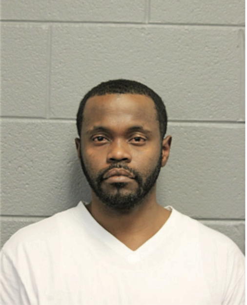 STEVEN N JONES, Cook County, Illinois