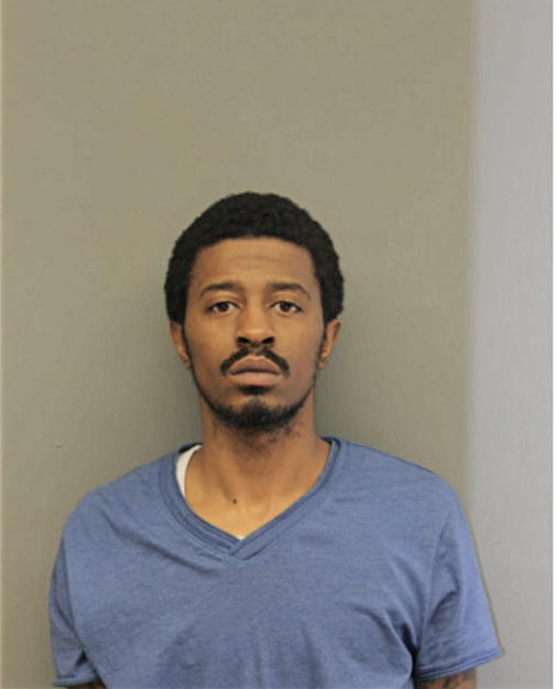 NATHAN J LANGSTON, Cook County, Illinois