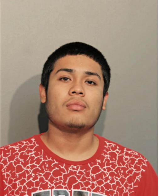 LUIZ E LOPEZ, Cook County, Illinois