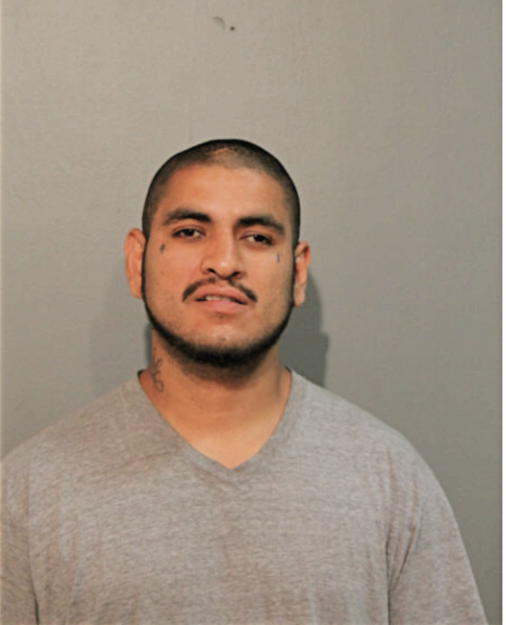 ARMANDO I MARTINEZ, Cook County, Illinois
