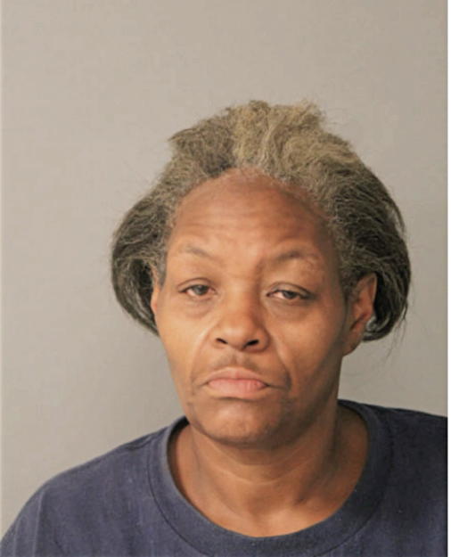 NINA S MCGHEE, Cook County, Illinois